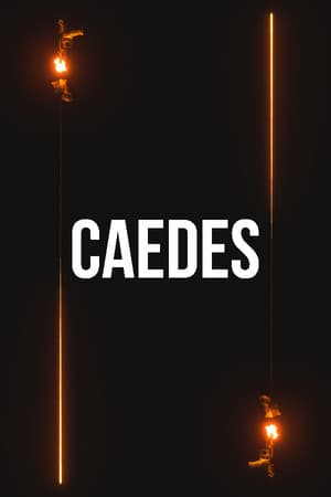 CAEDES