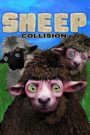 Sheep Collision
